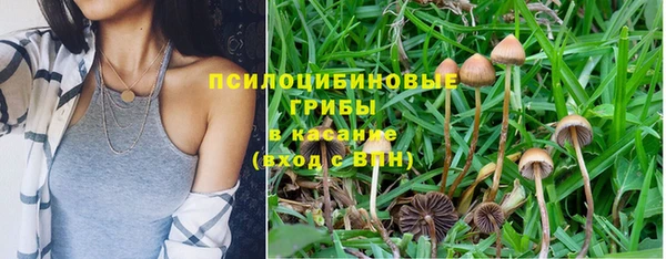 дурь Кодинск