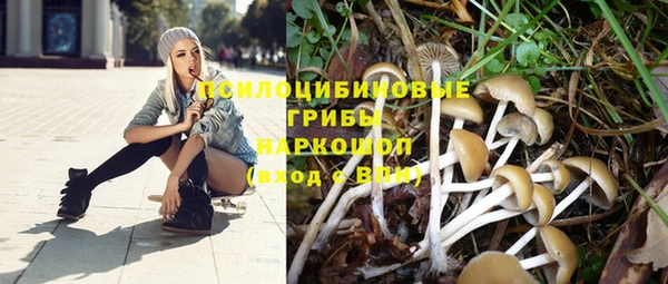 бутират Козловка