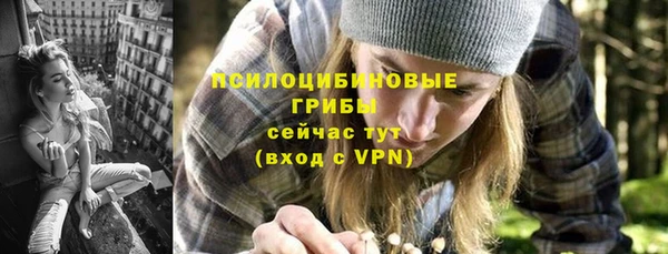 дурь Кодинск