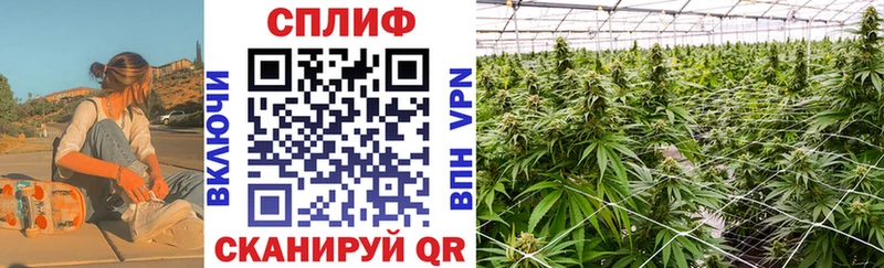 Бошки Шишки Ganja  Купить где  Великий Устюг 